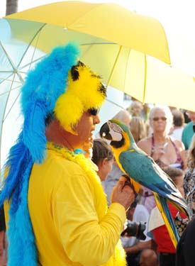 Pet Masquerade and Parade 2009 photo - Duval Street, Key West